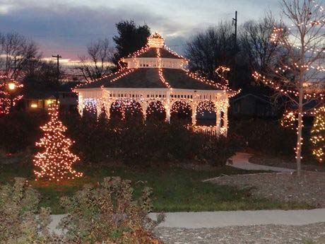 Trees and house decorated with lights